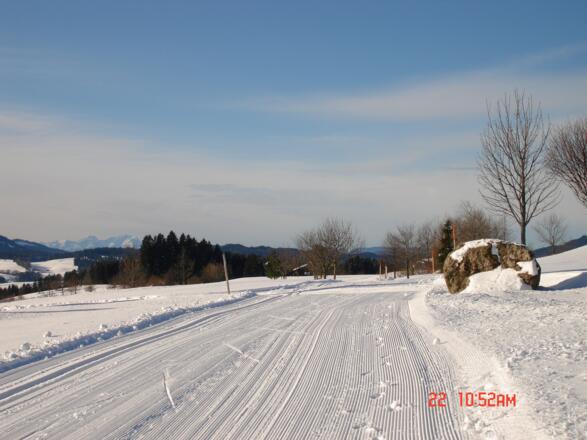 Winterlandschaft an der Golfplatzrunde (3)