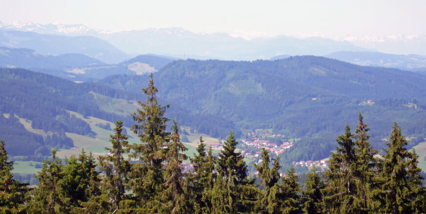 Blick auf Wengen mit Alpkette im Hintergrund
