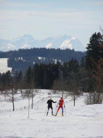 Langlauf vor der Bergkulisse in der Golfplatzrunde (3)