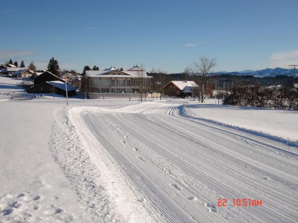 Winterlandschaft an der Golfplatzrunde (1)