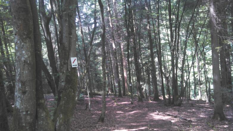 Weg entlang des &quot;Roten Querstriches&quot;