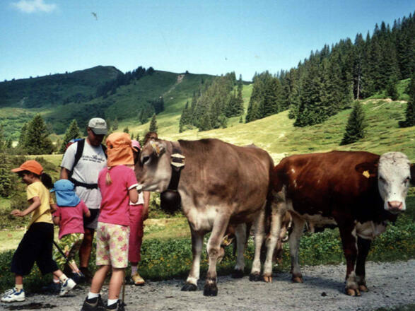 Auch für Kinder geeignet