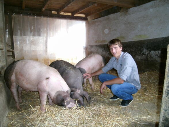 Hofstadel Mönchberg