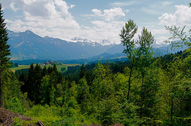Blick nach Süden auf die Oberstdorfer Alpen