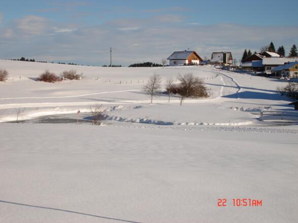 Winterlandschaft an der Golfplatzrunde (2)