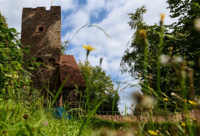 Burgruine Wildenstein