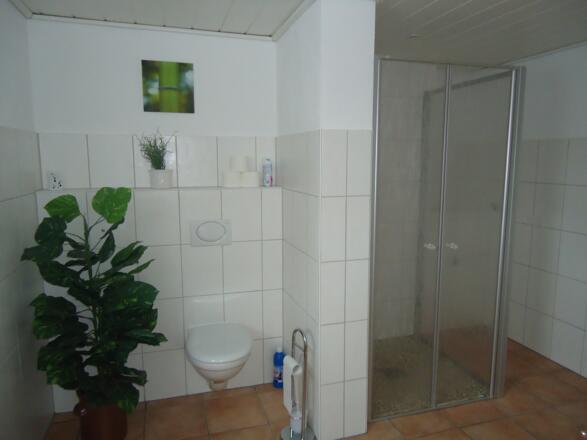 Ferienwohnung Zum Ross Erlenbach, Badezimmer