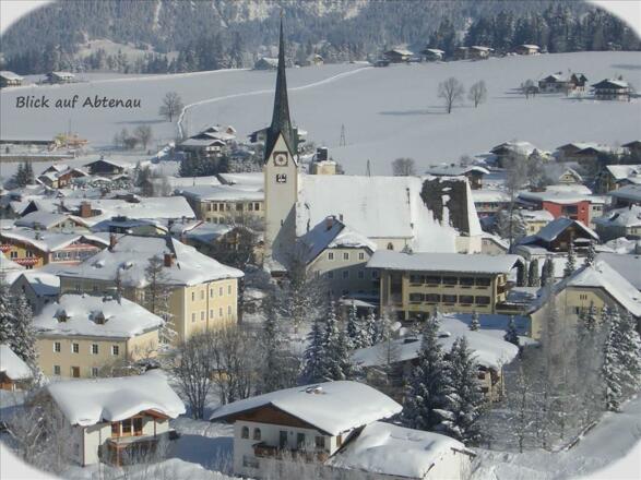 Blick auf Abtenau