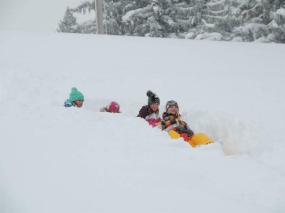Vergnügen im Schnee