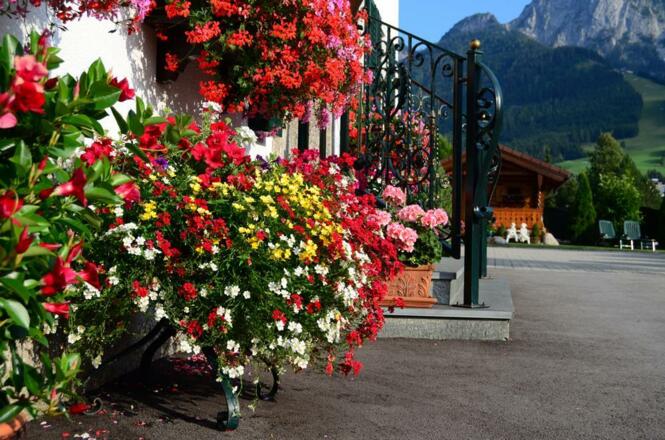 HausMagdalena0813289