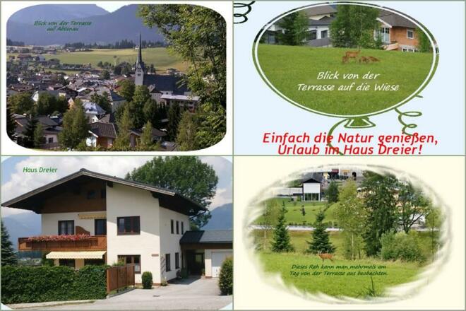 Rehe in der angrenzenden Wiese