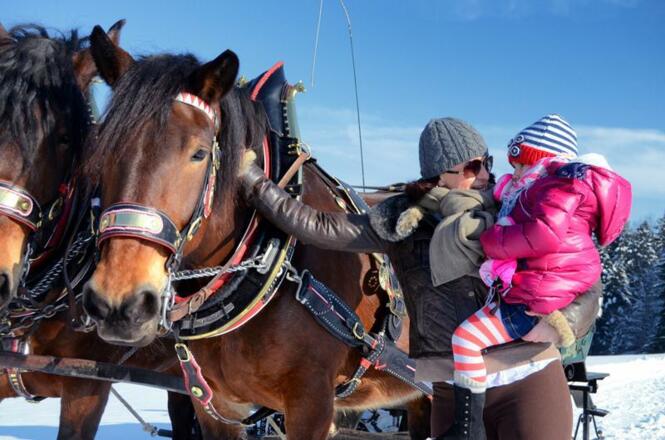 Pferdeschlittenfahrt.