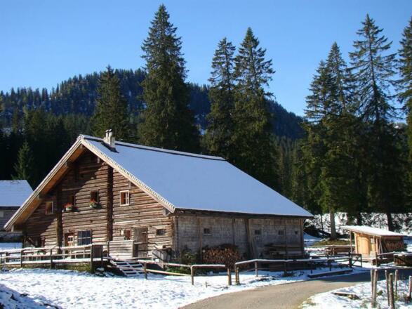 Alpin Hütt&#039;n im Winiter
