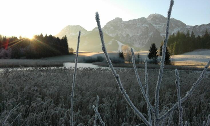 Naturschutzgebiet Egelsee Spätherbst