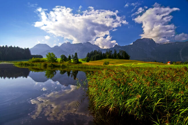 Naturschutzgebiet Egelsee Sommer