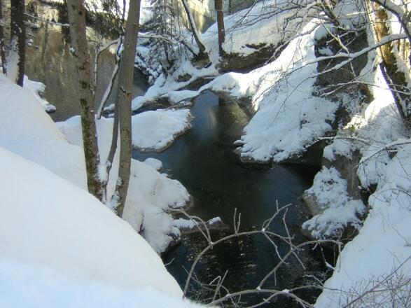 Schwarzaubachklamm im Ort