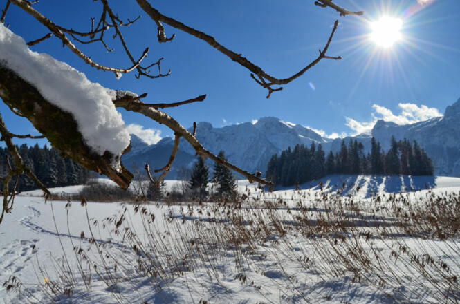 Naturschutzgebiet Egelsee Winter