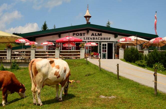 Lienbachhof Postalm.