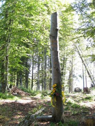 Schnitzplatz beim Glücksplatz `Bärenhöhle`