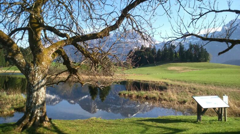 Naturschutzgebiet Egelsee Herbst