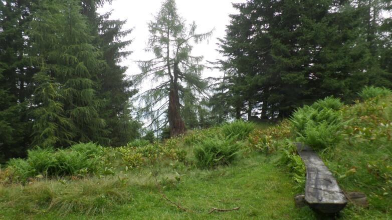 Naturschutzgebiet Tennengebirge