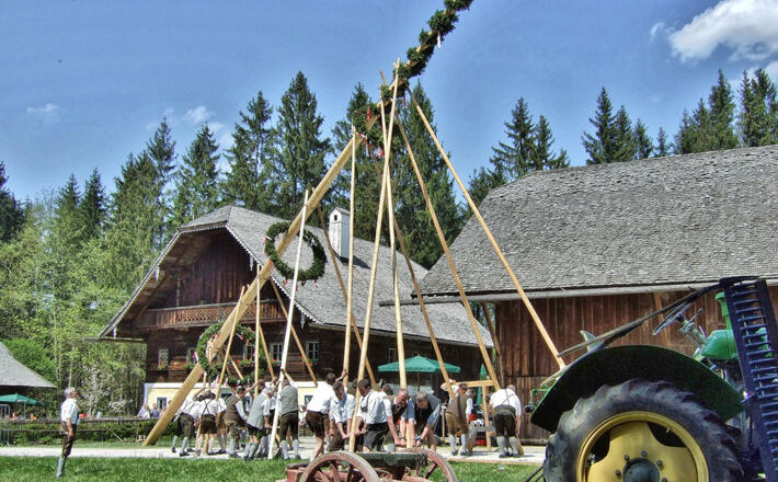 Maibaum Aufstellen im Salzburger Freilichtmuseum