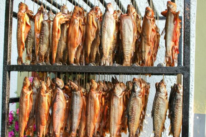 Räucherfische