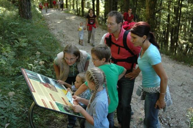 Bärenweg Lidaun - Faistenau
