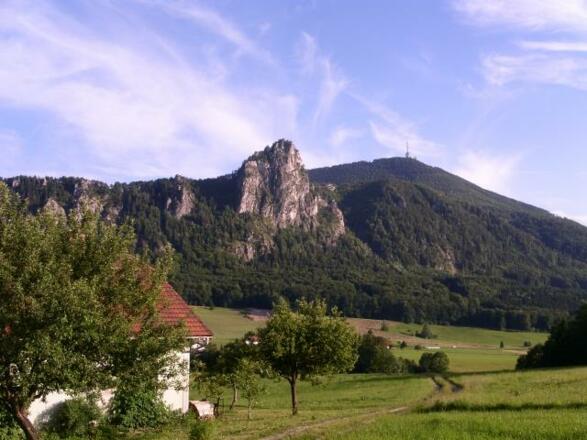 Heubergblick nockstein