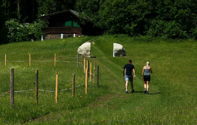 Zwischen Schwarz und Weiss 2