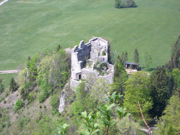 Burgruine Wartenfels Thalgau 