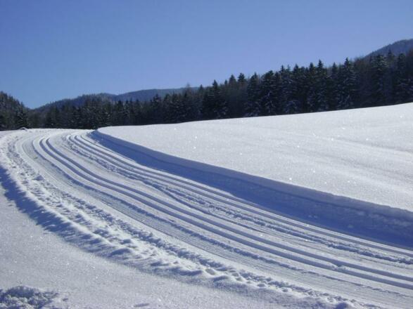 Langlaufloipe Fuschl am See1