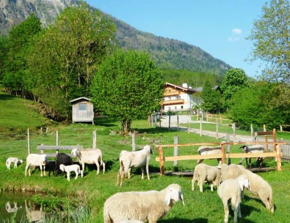 Titelfoto Mahdhäusl