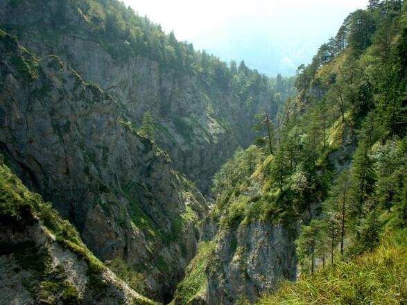 Blick in die Strubklamm