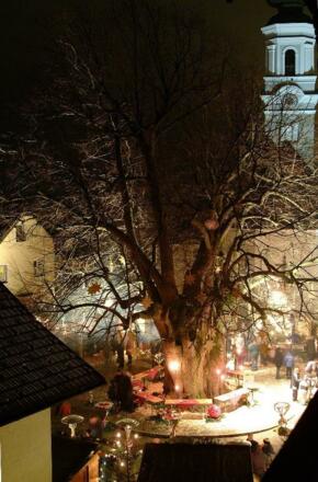 Advent unter der Linde