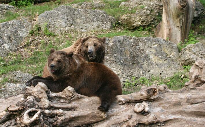 Café Reber in der Fußgängerzone Bad Reichenhall