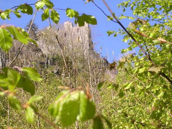 Ruine Wartenfels
