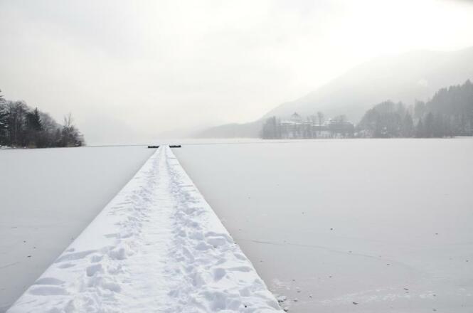 Winter am See