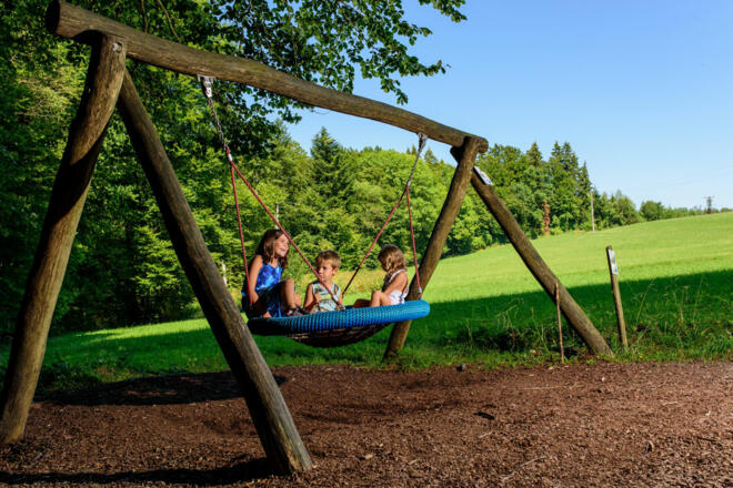 Schaukelweg Anthering 