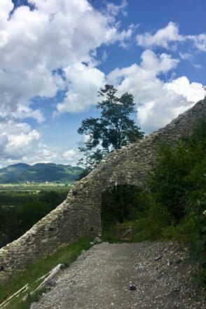 Burgruine Falkenstein