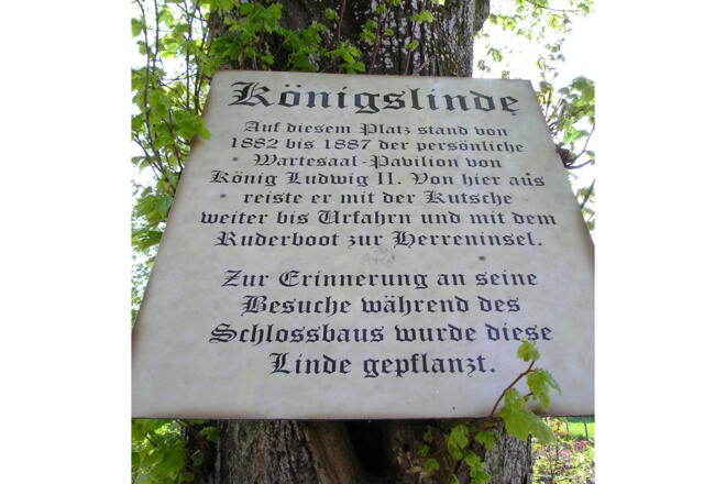 König Ludwig II - Linde in Rimsting