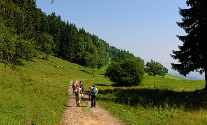 Wanderung zur Hohen Asten
