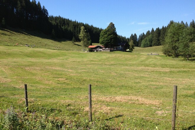 Wirtsalm unterhalb des Wendelsteins