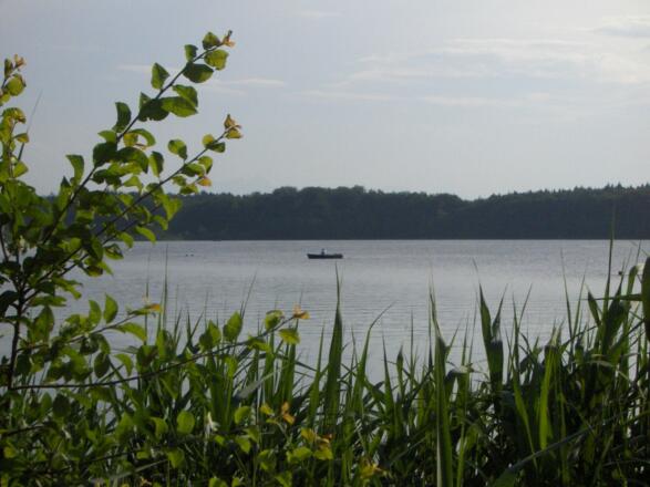 Schöner Seeblick am Hartsee. 