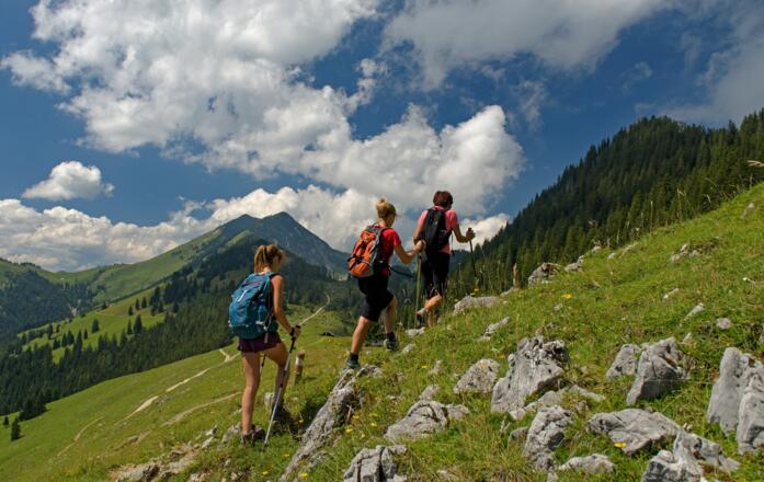 Wandern im Brünnsteingebiet