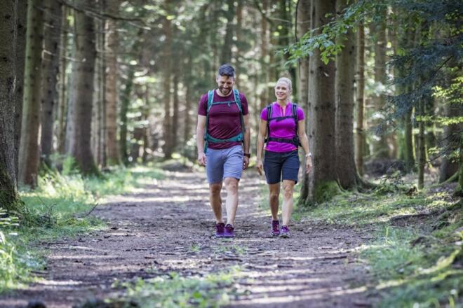 Wandern in den Wäldern der Eggstätt-Hemhofer Seenplatte