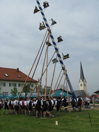 Der Maibaum wird in Neukirchen am Simsee aufgestellt