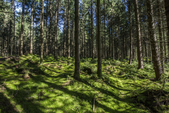Wandern im Chiemsee-Alpenland