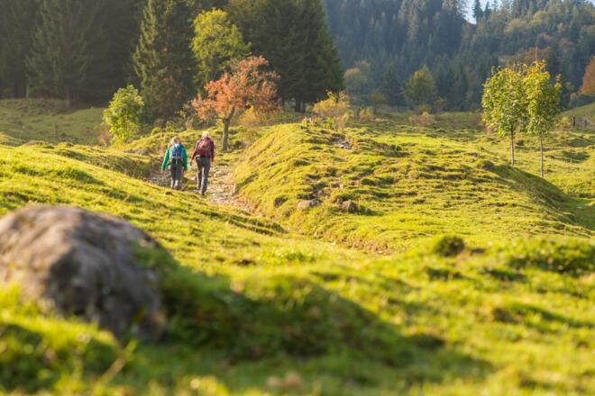 Wandern im Herbst in Brannenburg