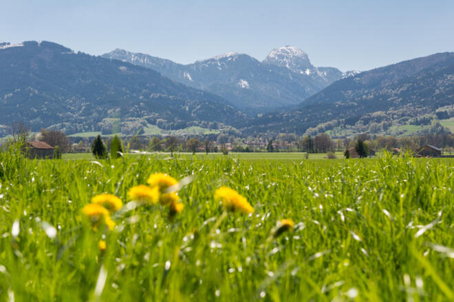 Grüne Wiese in Bad Feilnbach